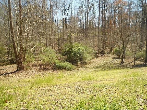 3rd image of 2015 Winn Creek Dr