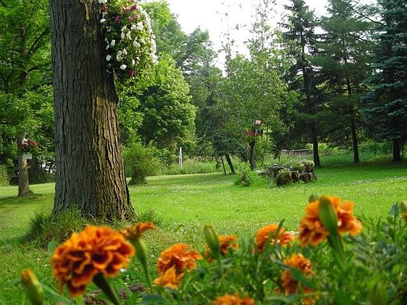 north view overlooking stream