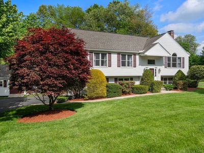 53 Timberline Rd, Millis, MA, 02054