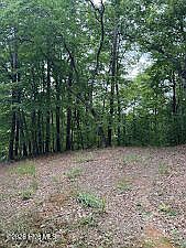 1st image of Lot #46 Pine Cove Lane