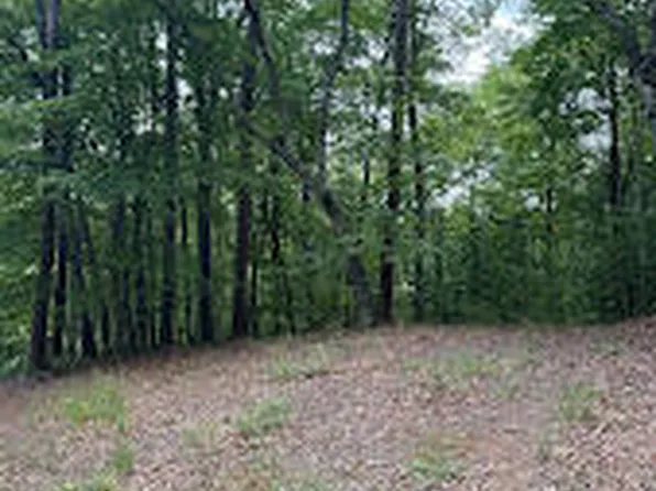 Lot #46 Pine Cove Lane, Murphy, NC 28906