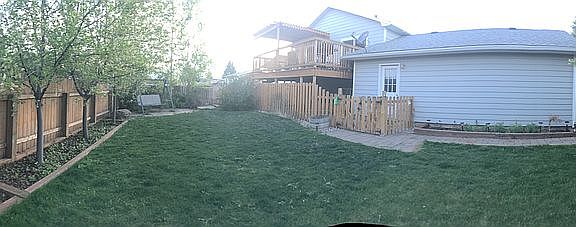 back deck and dog run