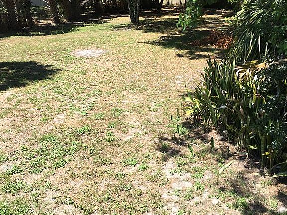 Large back yard