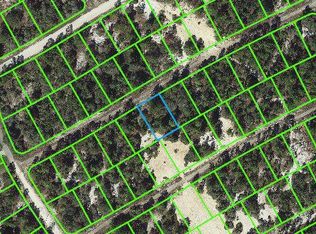 411 Allegheny Ave, Lake Placid, FL 33852