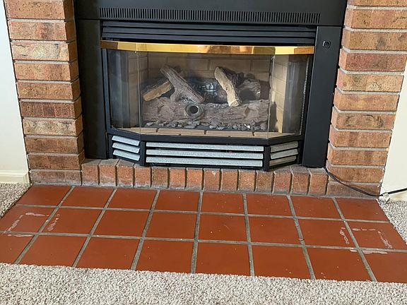 Fireplace Insert