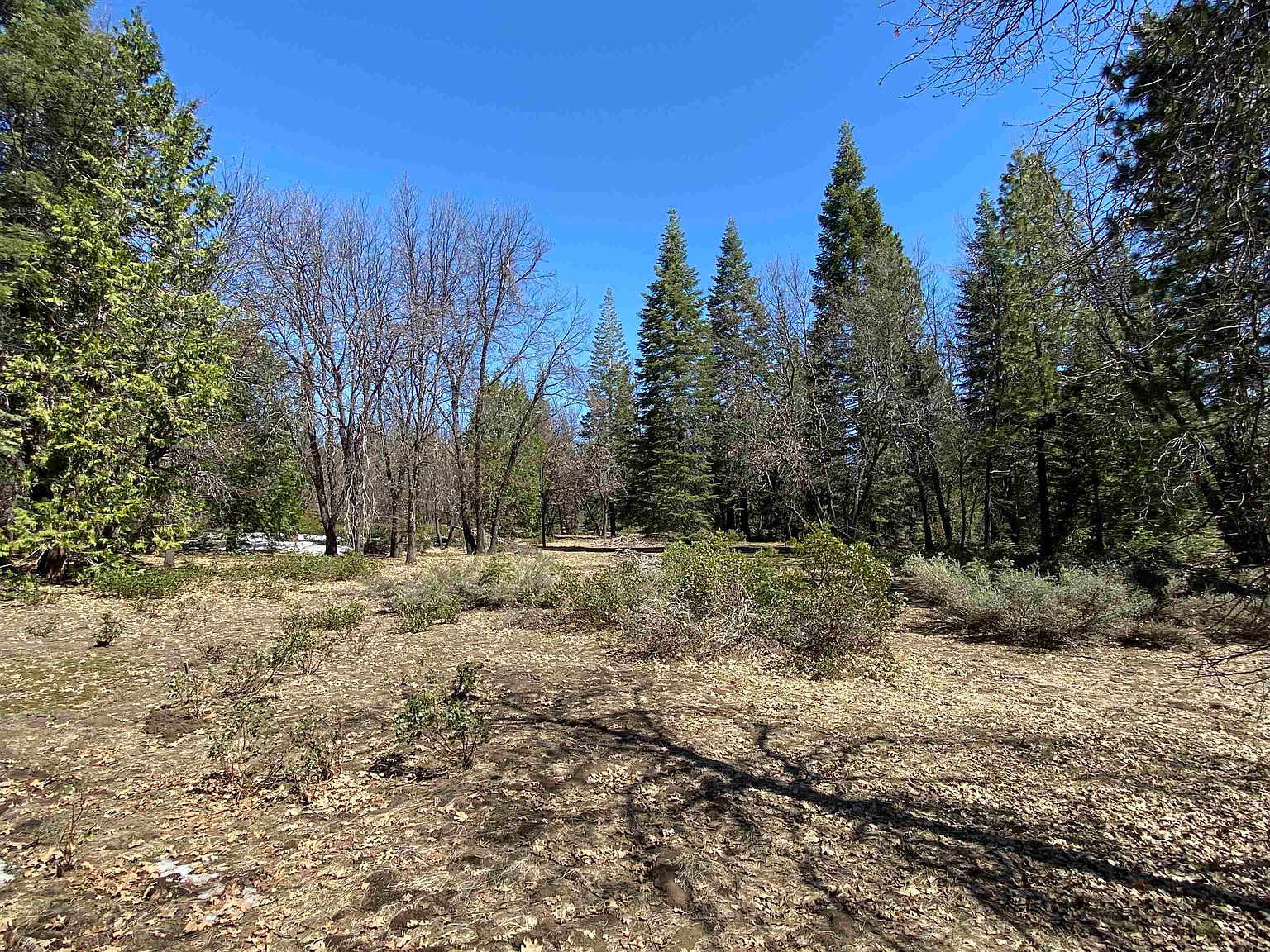 1A21 Mount Shasta Dr, Mccloud, CA 96057 Zillow