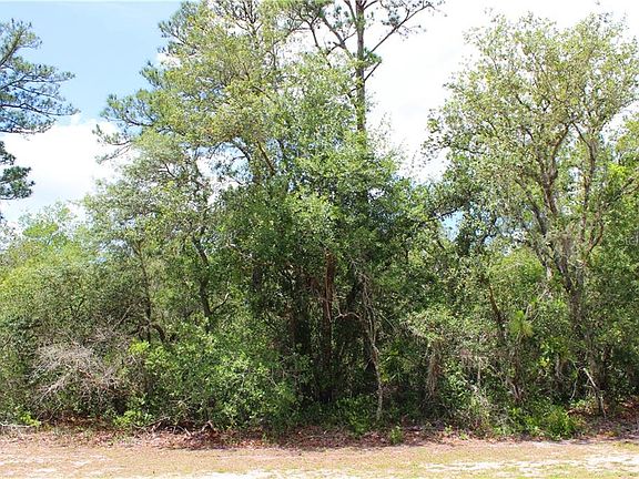 4th image of LOT 21 Poinciana St