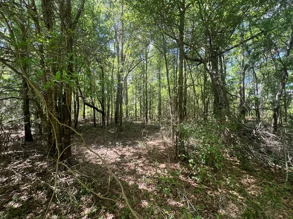 579/447 Amboy Rebecca Rd, Rebecca, GA 31783