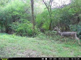 0 Old Highway 80 E, Morton, MS 39117