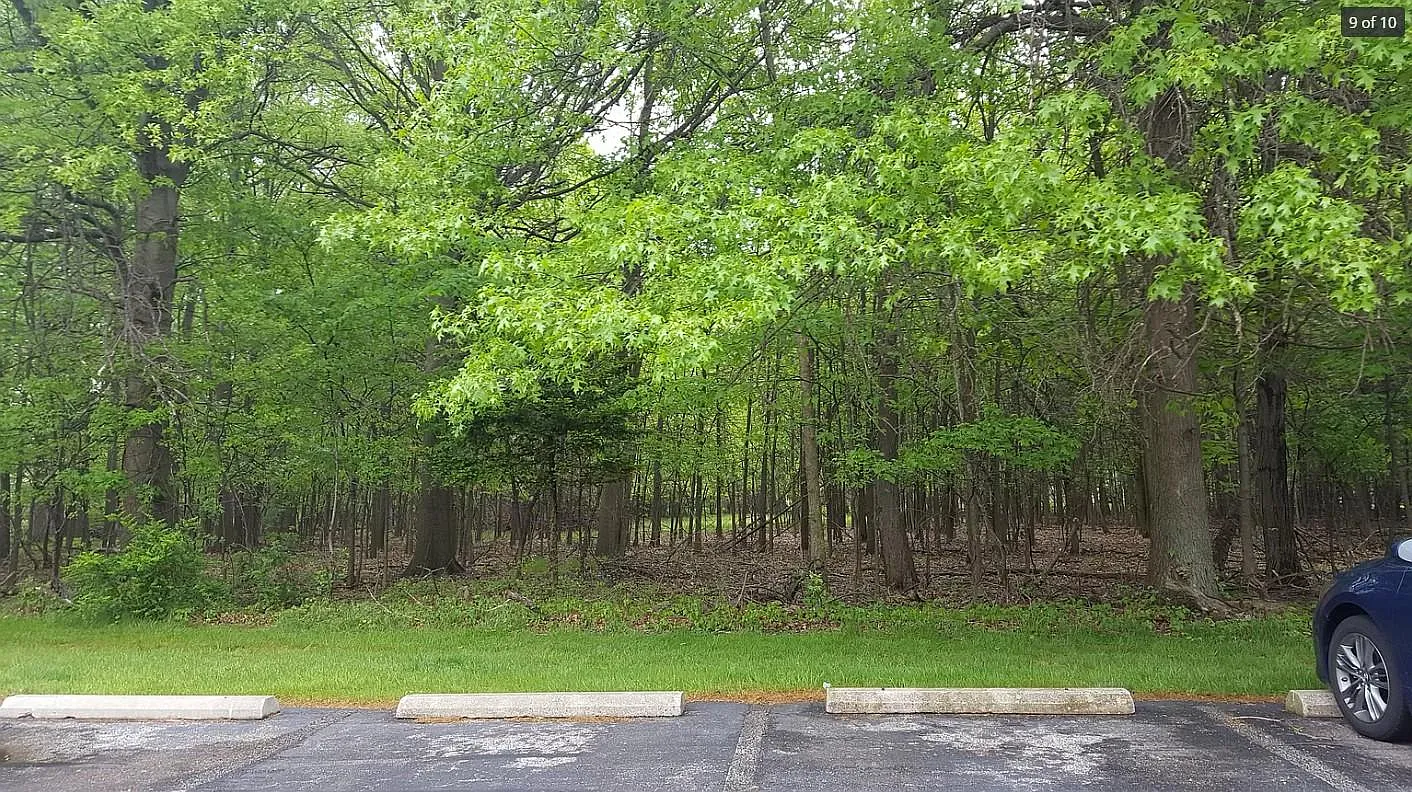 2 bed, 814 sqft, $1,395 — Photo 3