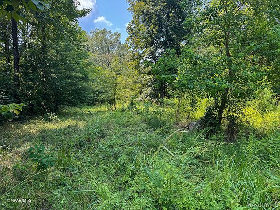 5th image of LOT 38 River Oaks Landing Cir