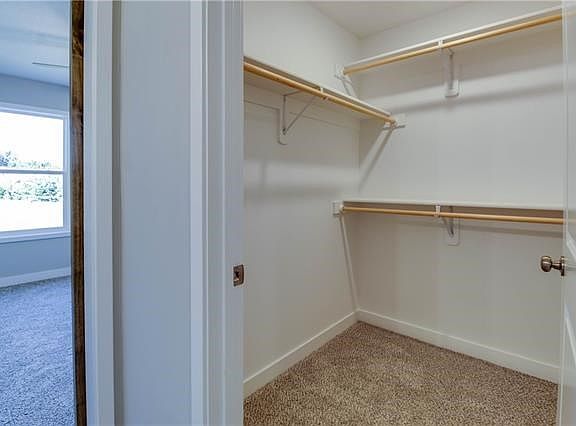 3rd image of 3103 Carlisle Ct