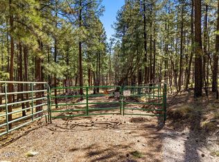 11 County Road 2135, Alpine, AZ 85920