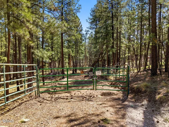 11 County Road 2135, Alpine, AZ 85920