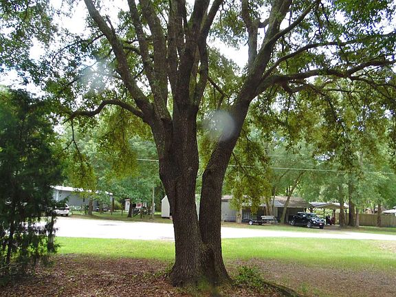 3rd image of 181 SW Naples Gln