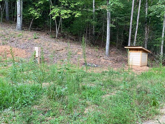 3rd image of 111 Blackbear Mountain Trl