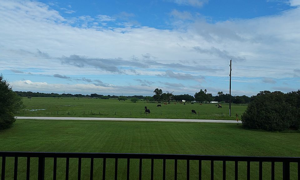 View from Back Balcony