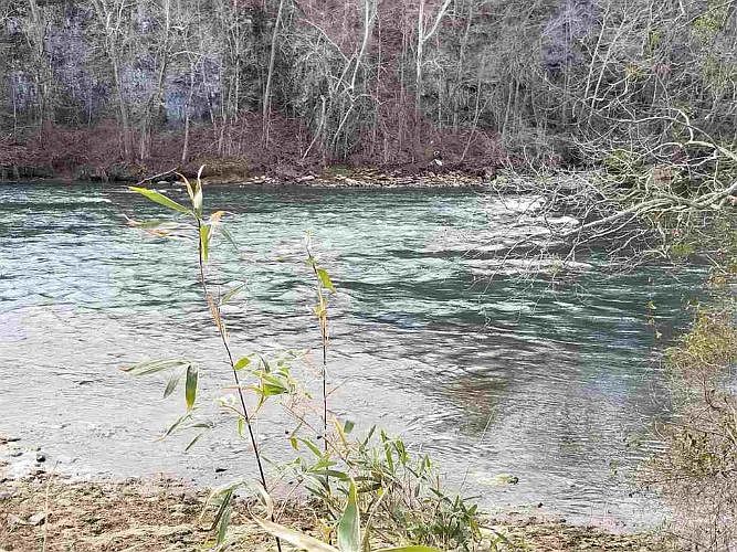 1st image of 1963 River Mist Cir