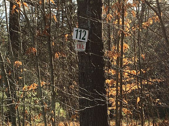 3rd image of Benjamin Wentworth Dr