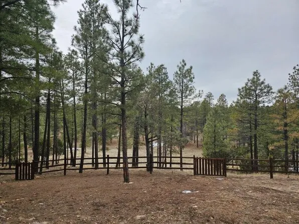 3799 Starlight Dr, Happy Jack, AZ 86024