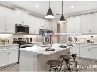 26052 Woven Wicker Bnd, Lutz, FL 33559