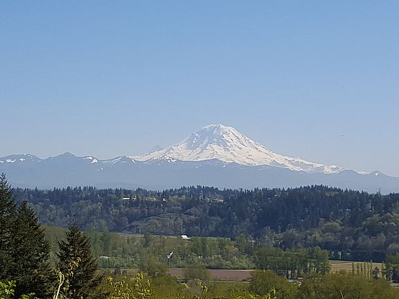 Amazing view of Mt Rainier