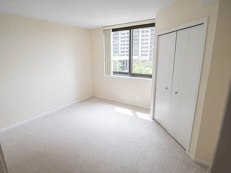 5505 Seminary Rd #316N — Photo 59