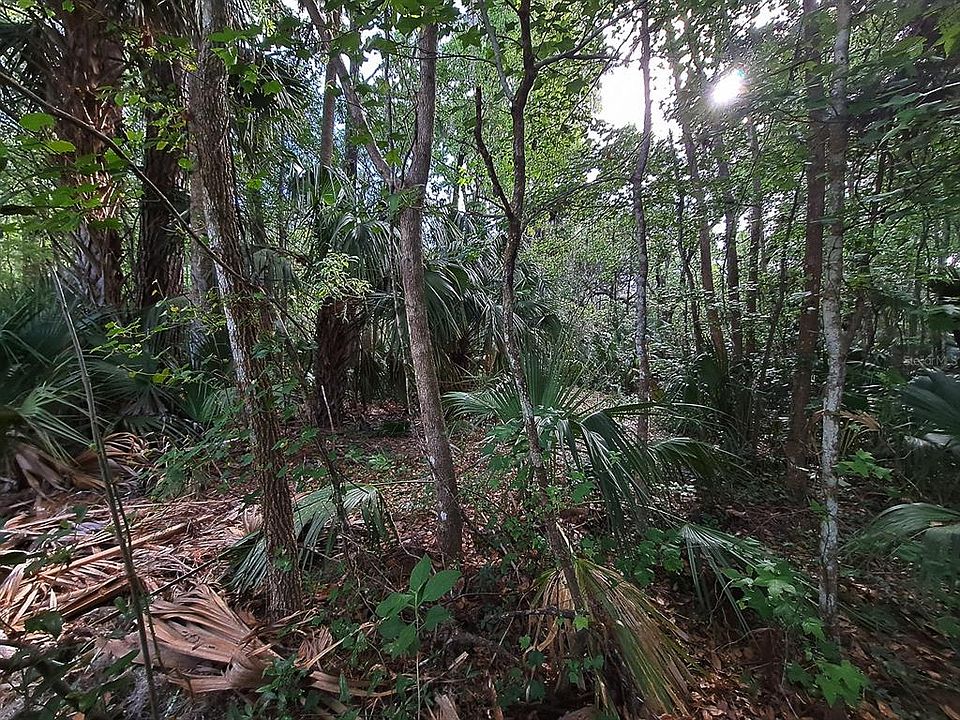 0 SE Tuscawilla Rd 1, Micanopy, FL 32667 MLS GC504447 Zillow