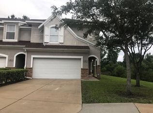 10813 Thames Vista Ct, Tampa, FL 33647