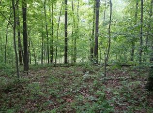 2526 Snake Hollow Rd, Sneedville, TN 37869