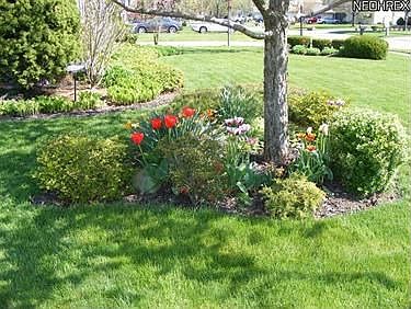 5th image of 1802 Gloucester Dr