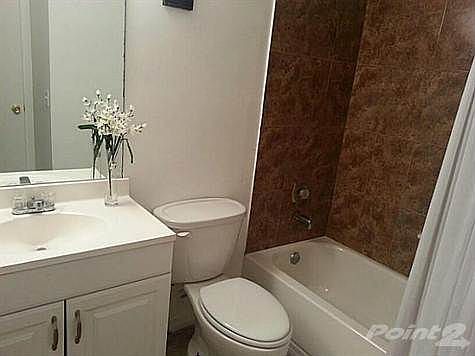 3rd image of 11548 Royal Palm Blvd #11548