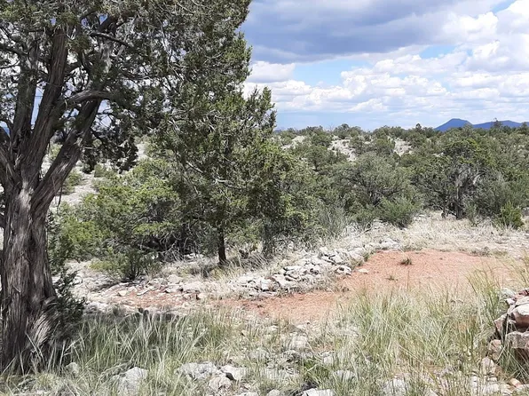 701 W Everwood Trl, Seligman, AZ 86337