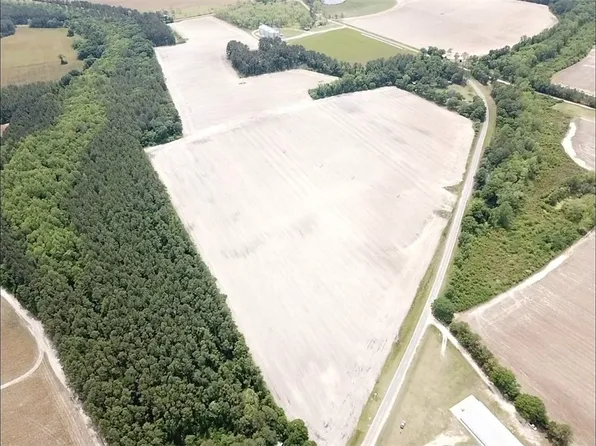 0 Walkerville Rd, Blackshear, GA 31516