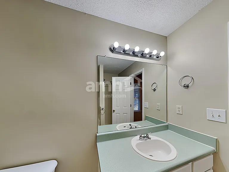 372 Emerald Pines Dr — Photo 10