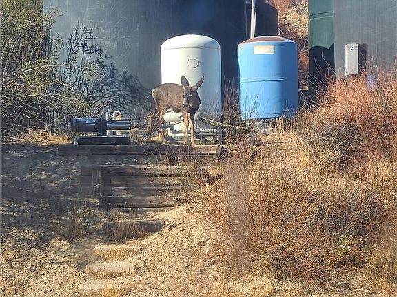 3rd image of 47574 Indian Trails Rd