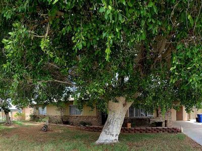 1356 E 23rd St, Yuma, AZ, 85365
