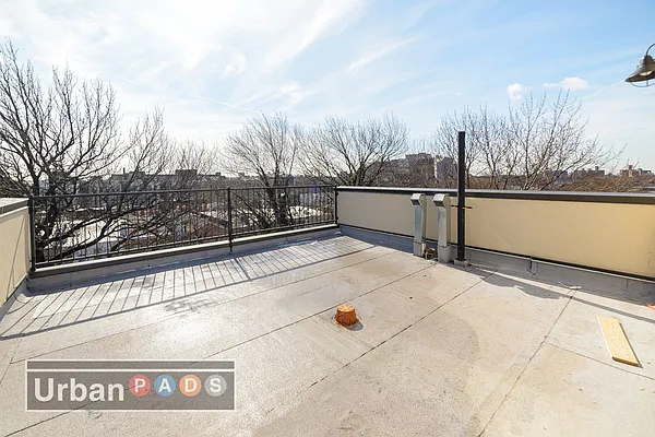 Rented by Urban Pads | media 8