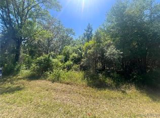 6610 N Shorewood Dr, Hernando, FL 34442