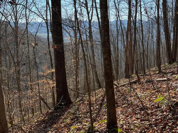 0 Heralds Valley Rd, Castlewood, VA 24224