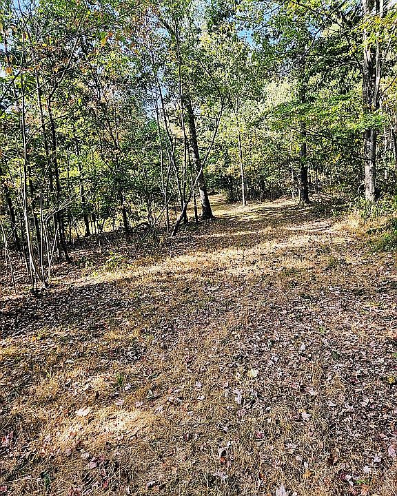 2nd image of LOT 2 Bobcat Rd