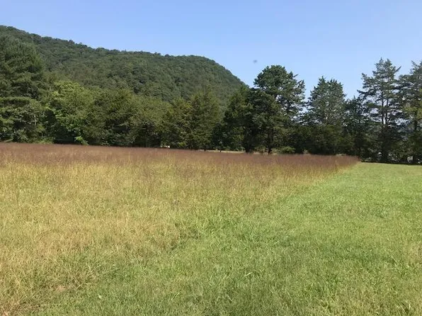 0 Glenwood, Natural Bridge, VA 24578