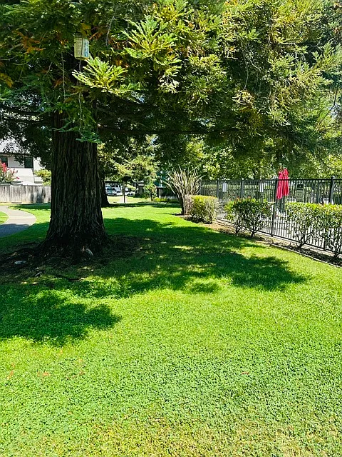 3 bed, 2.5 bath, 1350 sqft, $3,300 — Photo 2