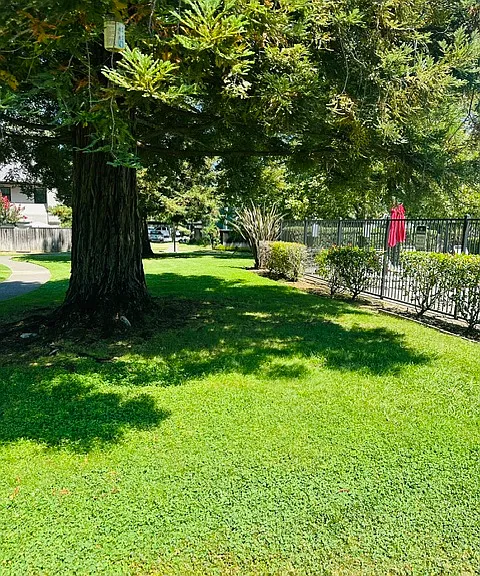 3614 Shelter Creek Dr — Photo 2