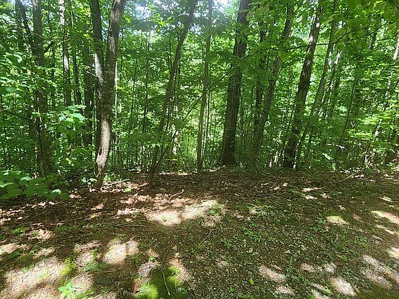 2nd image of LOT 15 Roaring Ridge Trl