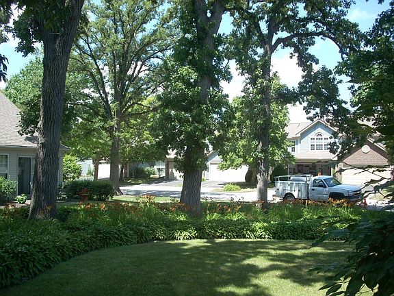 Front Yard - SW Exposure