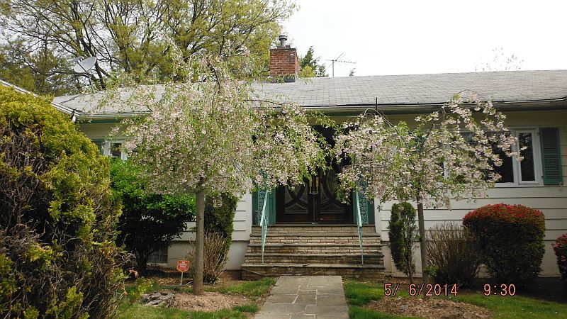 1st image of 175 Elmwynd Dr