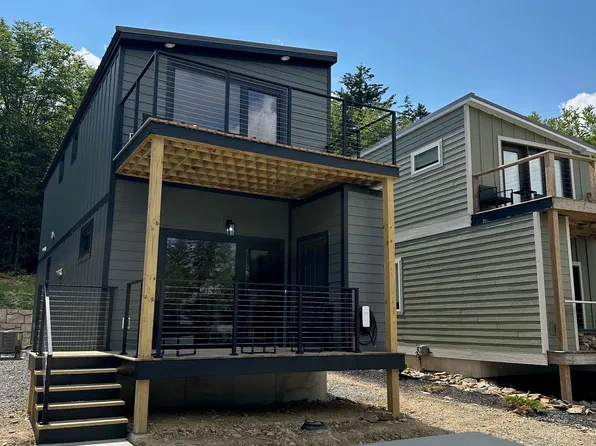 161 Meadows Dr, Snowshoe, WV 26209