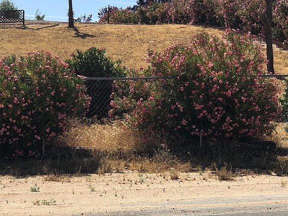 5th image of 18476 Wisteria St