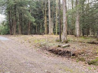 265 Tanzman Rd, Parksville, NY 12768